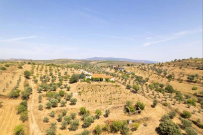 Terreno para Venda em Vila Nova de Foz Côa
