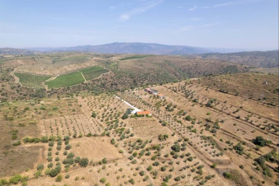 Terreno para Venda em Vila Nova de Foz Côa
