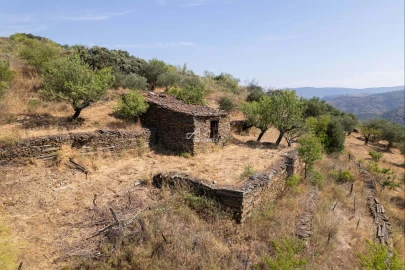 Terreno para Venda em Vila Nova de Foz Côa