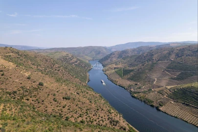 Terreno para Venda em Vila Nova de Foz Côa