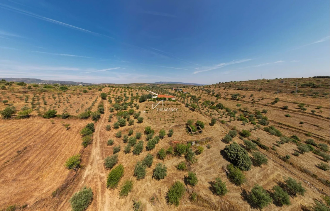 Terreno para Venda em Vila Nova de Foz Côa Foto 21