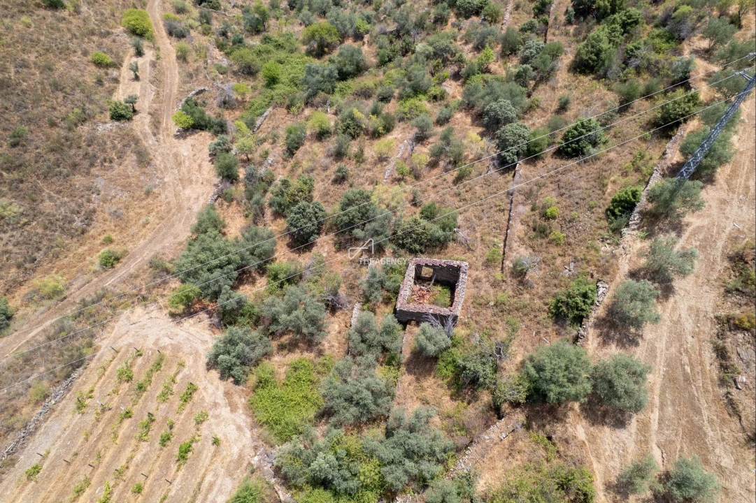 Terreno para Venda em Vila Nova de Foz Côa Foto 55