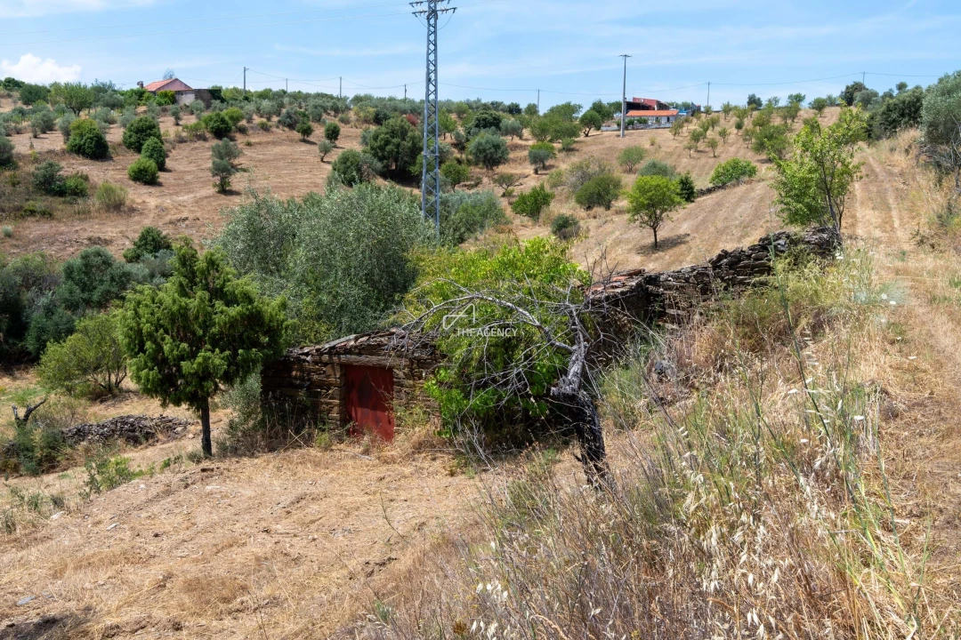 Terreno para Venda em Vila Nova de Foz Côa Foto 63