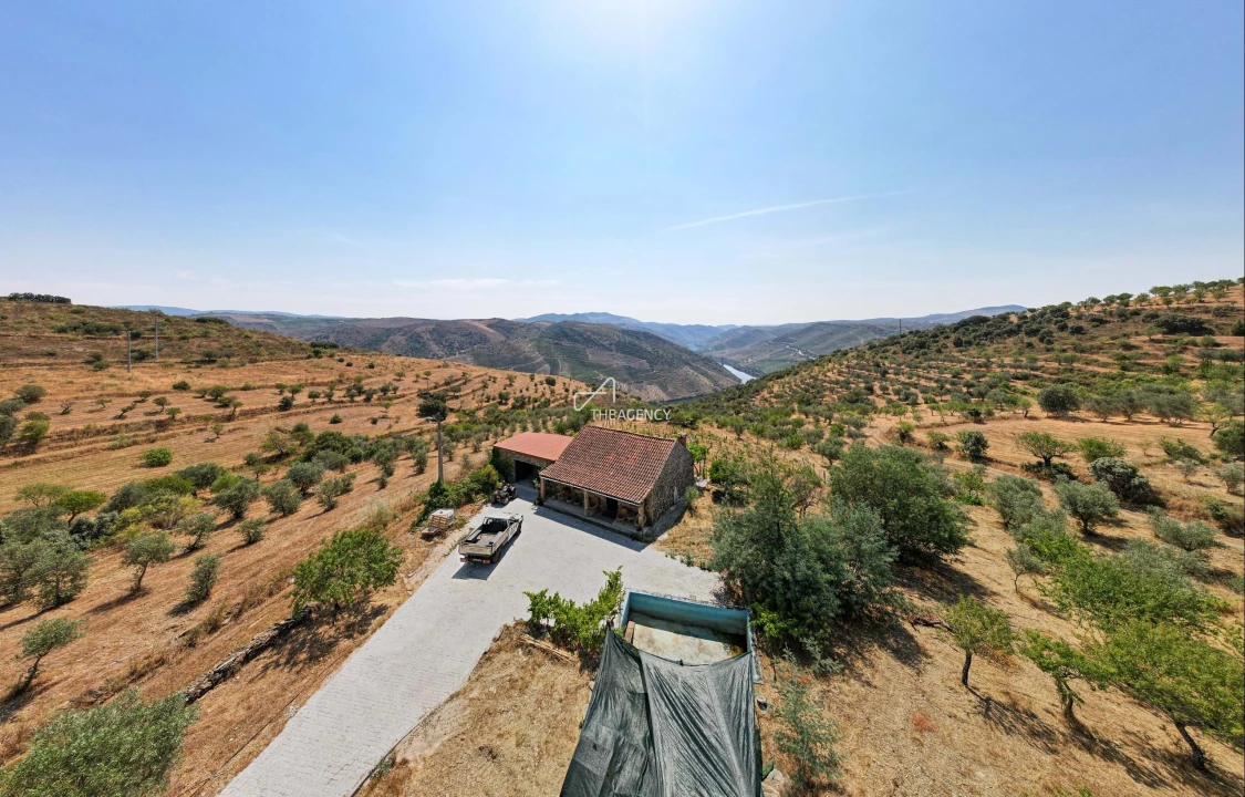 Terreno para Venda em Vila Nova de Foz Côa Foto 16