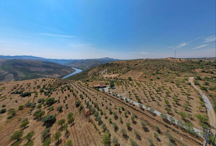 Terreno para Venda em Vila Nova de Foz Côa Foto 24