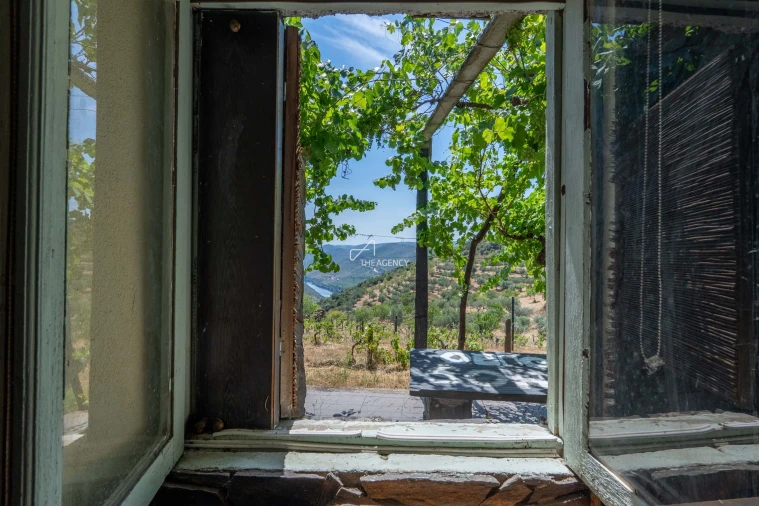 Terreno para Venda em Vila Nova de Foz Côa Foto 41
