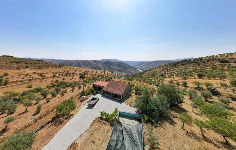 Terreno para Venda em Vila Nova de Foz Côa Foto 16