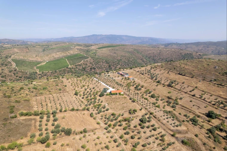 Terreno para Venda em Vila Nova de Foz Côa Foto 5