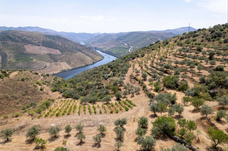 Terreno para Venda em Vila Nova de Foz Côa Foto 56