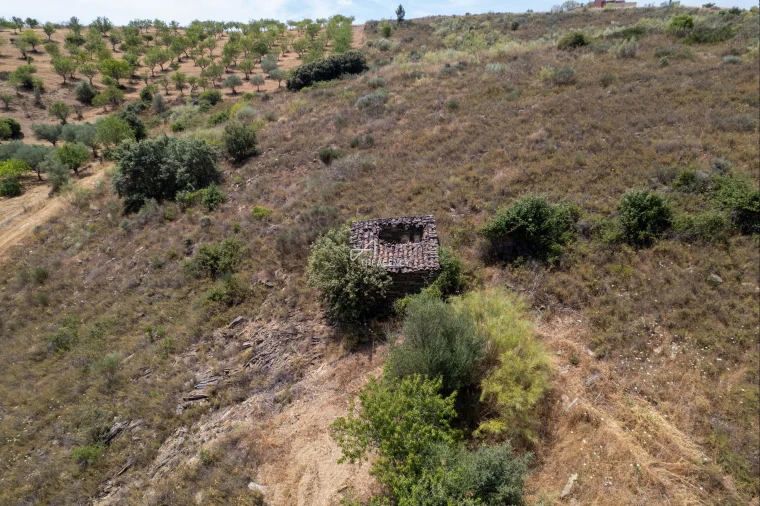 Terreno para Venda em Vila Nova de Foz Côa Foto 60