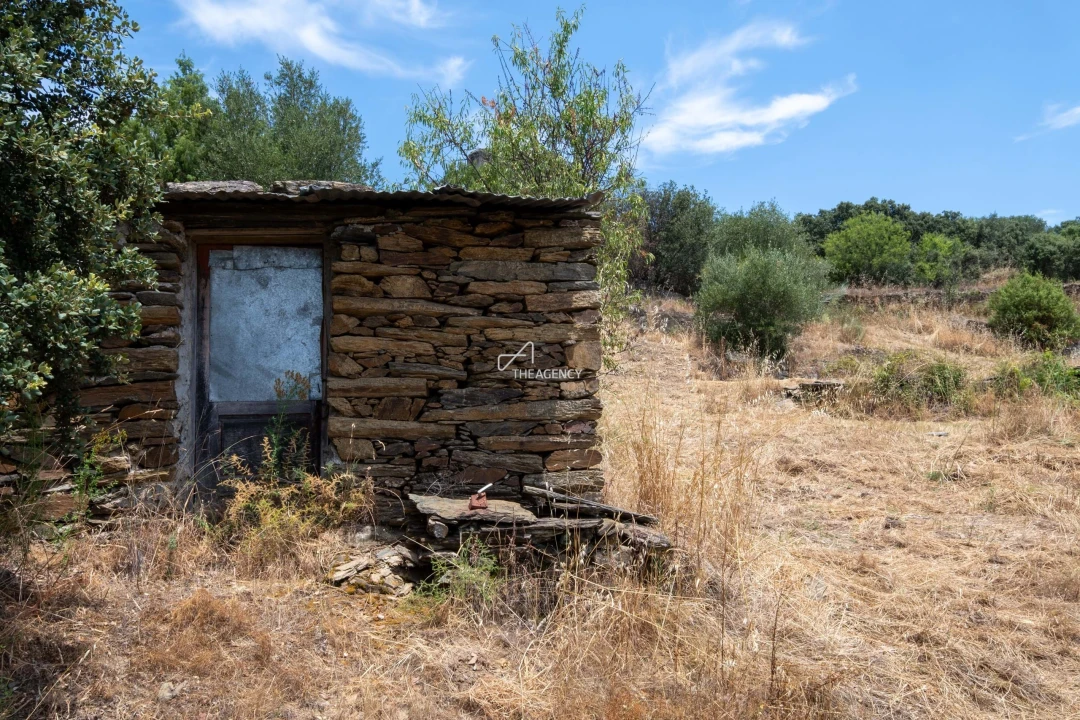Terreno para Venda em Vila Nova de Foz Côa Foto 66