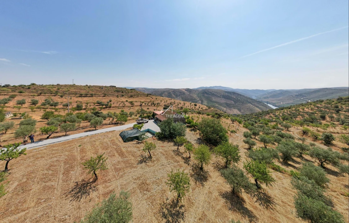 Terreno para Venda em Vila Nova de Foz Côa Foto 18