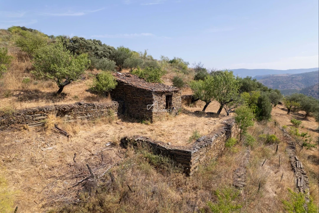 Terreno para Venda em Vila Nova de Foz Côa Foto 10