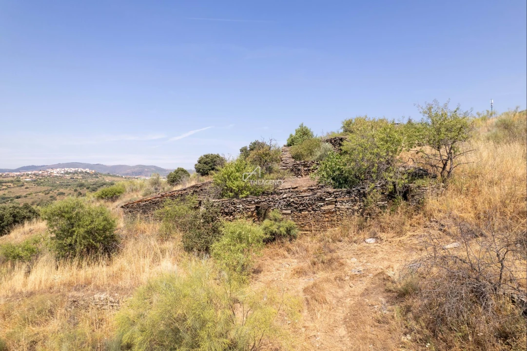 Terreno para Venda em Vila Nova de Foz Côa Foto 13