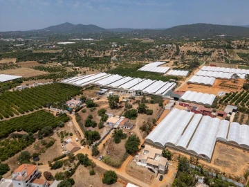 Quinta T3 para Venda em Olhão