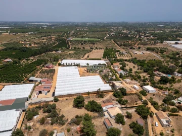 Quinta T3 para Venda em Olhão