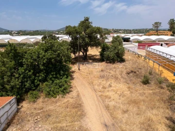 Quinta T3 para Venda em Olhão