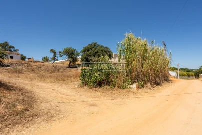 Quinta T3 para Venda em Olhão