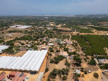 Quinta T3 para Venda em Olhão