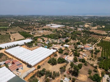 Quinta T3 para Venda em Olhão