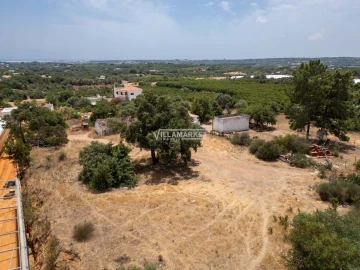 Quinta T3 para Venda em Olhão