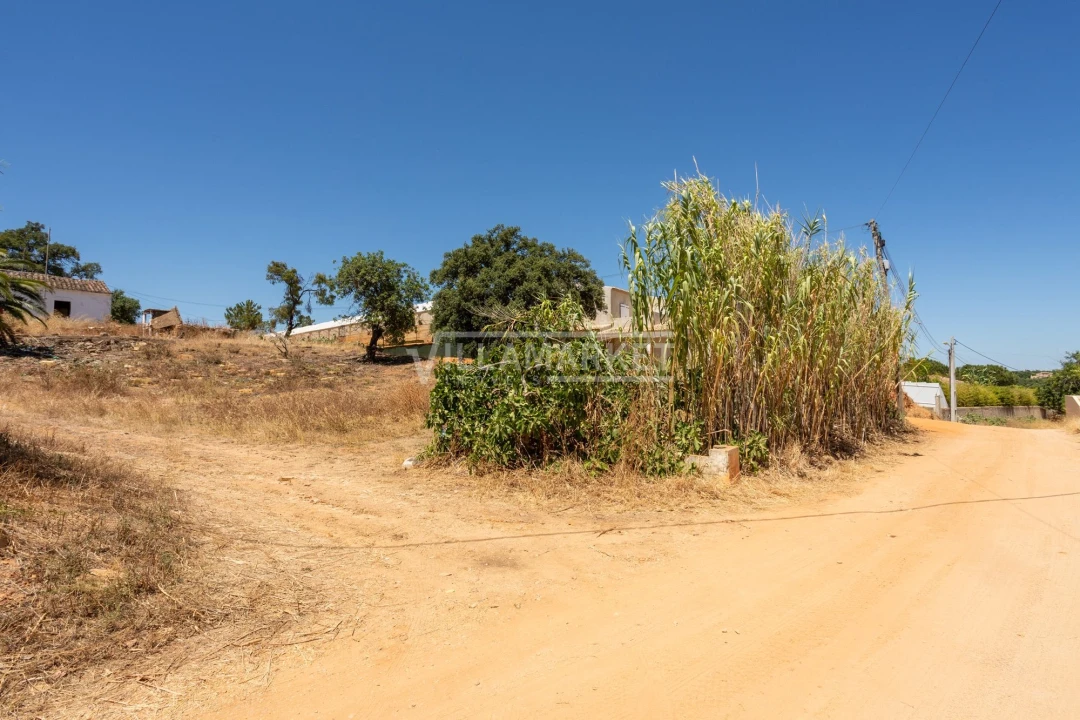 Quinta T3 para Venda em Olhão Foto 40