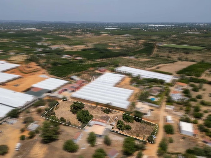 Quinta T3 para Venda em Olhão Foto 22