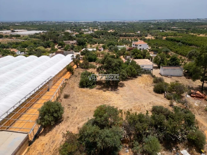 Quinta T3 para Venda em Olhão Foto 31