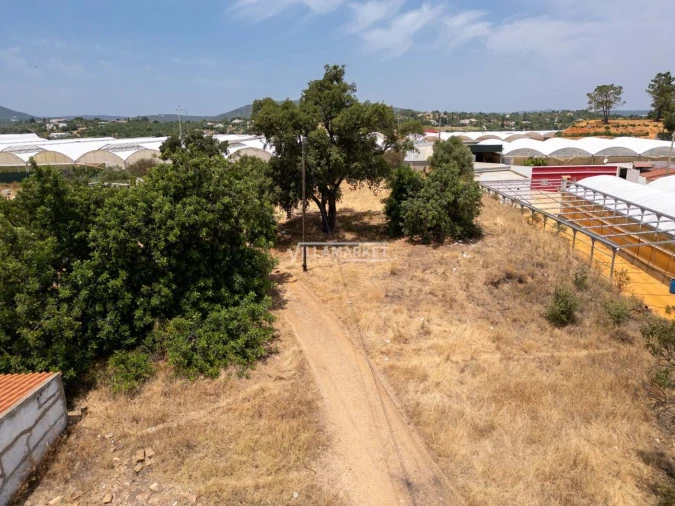 Quinta T3 para Venda em Olhão Foto 37