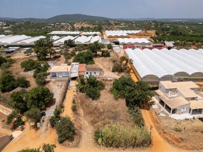 Quinta T3 para Venda em Olhão Foto 18
