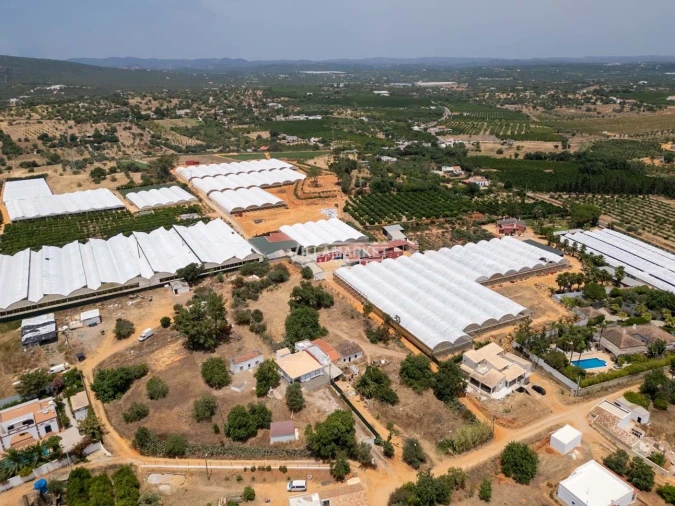 Quinta T3 para Venda em Olhão Foto 24