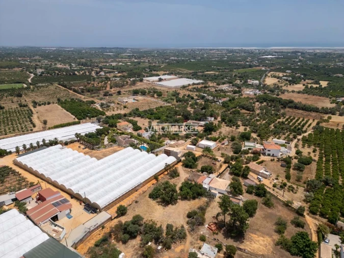 Quinta T3 para Venda em Olhão Foto 21