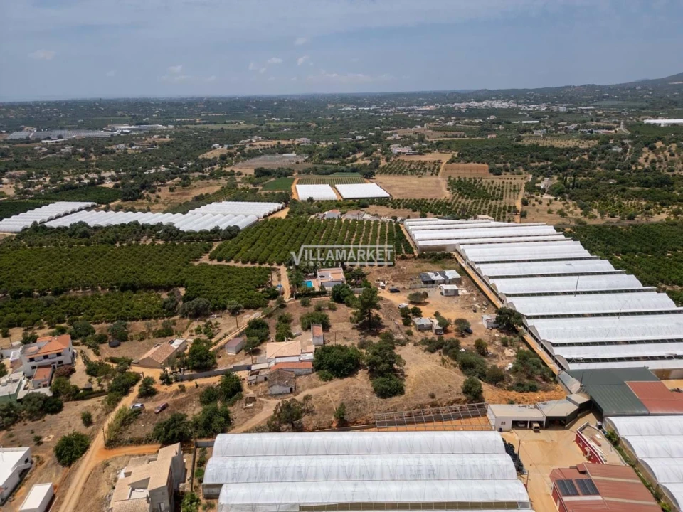 Quinta T3 para Venda em Olhão Foto 28