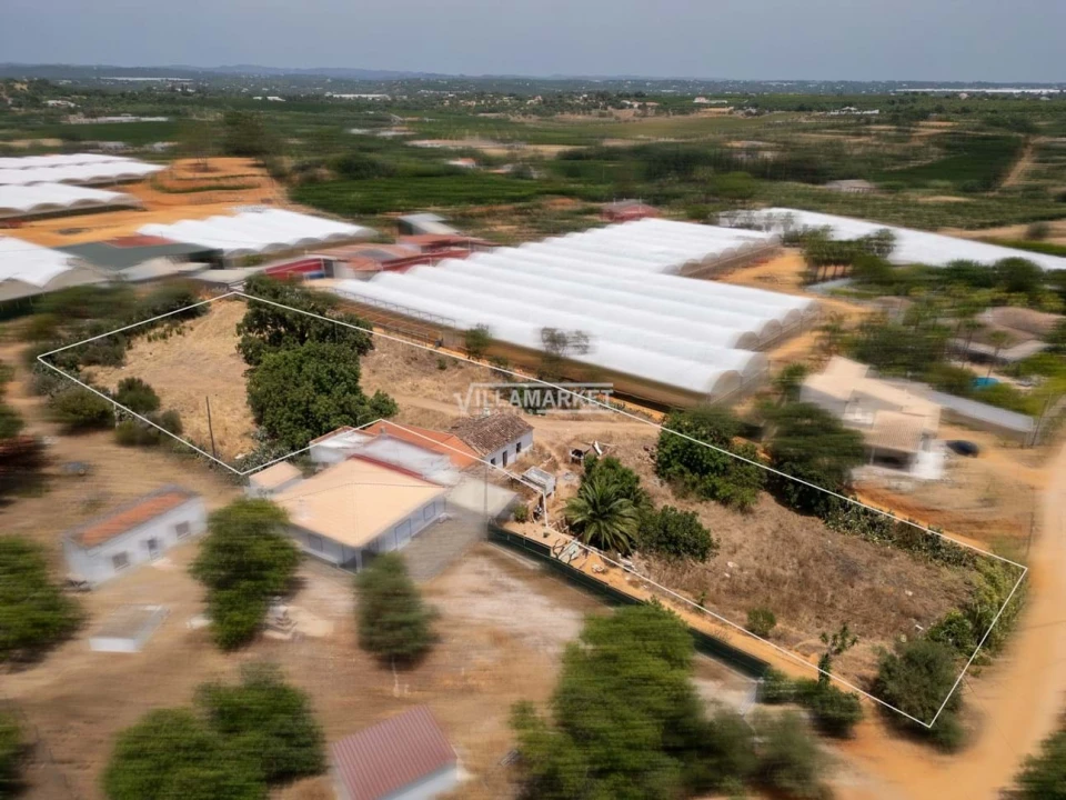 Quinta T3 para Venda em Olhão Foto 19
