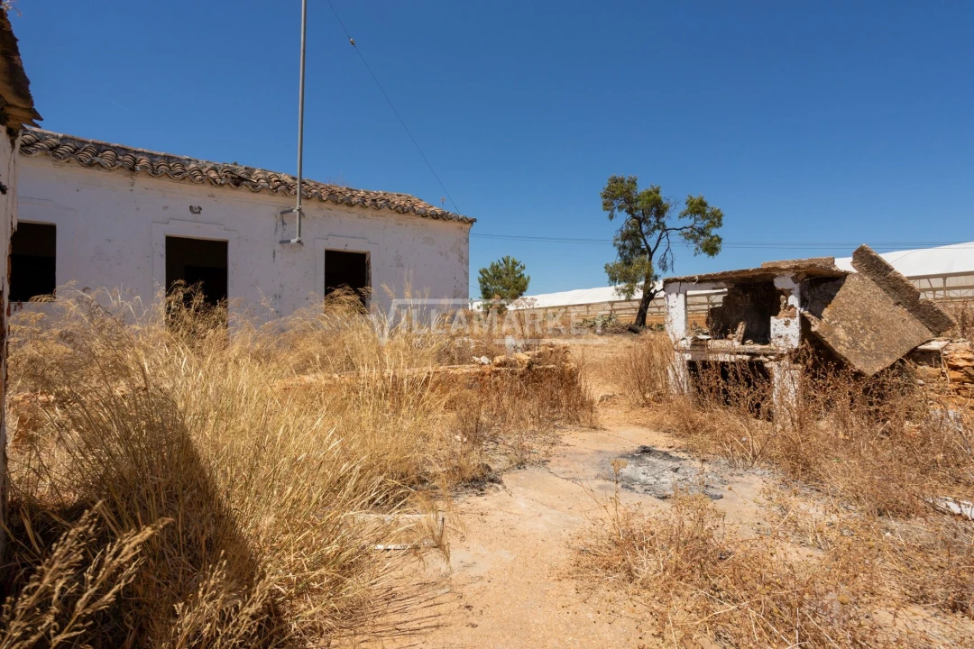 Quinta T3 para Venda em Olhão Foto 16