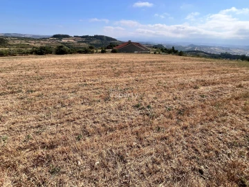 Terreno para Venda em Mafra