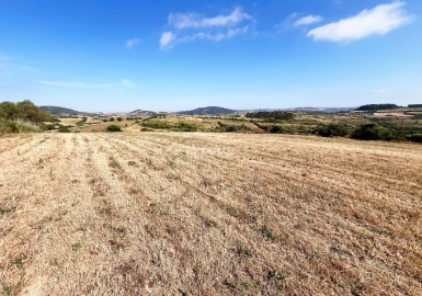 Terreno para Venda em Mafra