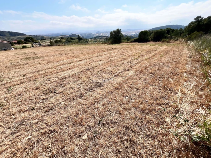 Terreno para Venda em Mafra Foto 3