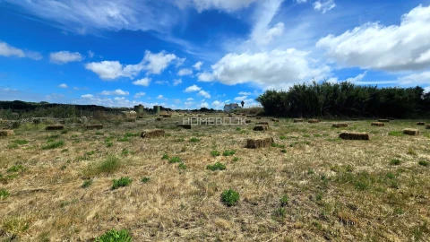 Terreno Agricola ou Rústico para Venda em Agualva e Mira-Sintra