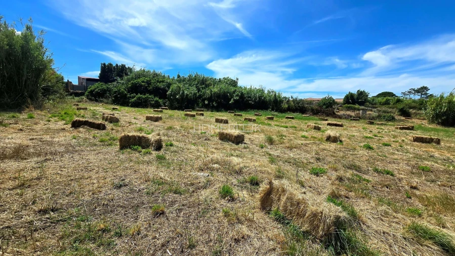 Terreno Agricola ou Rústico para Venda em Agualva e Mira-Sintra Foto 3