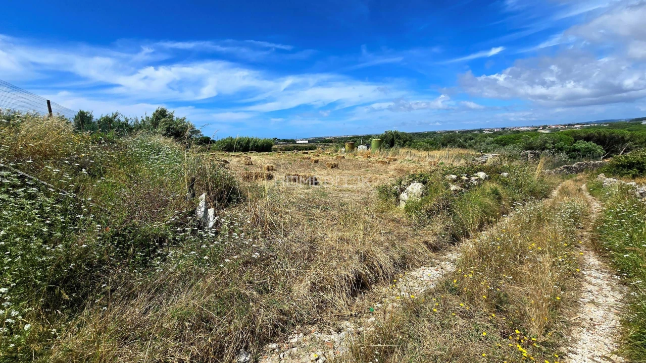 Terreno Agricola ou Rústico para Venda em Agualva e Mira-Sintra Foto 5