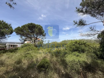 Terreno para Venda em Nadadouro