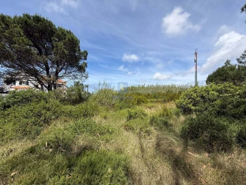 Terreno para Venda em Nadadouro