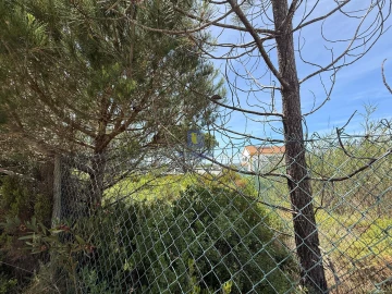 Terreno para Venda em Nadadouro