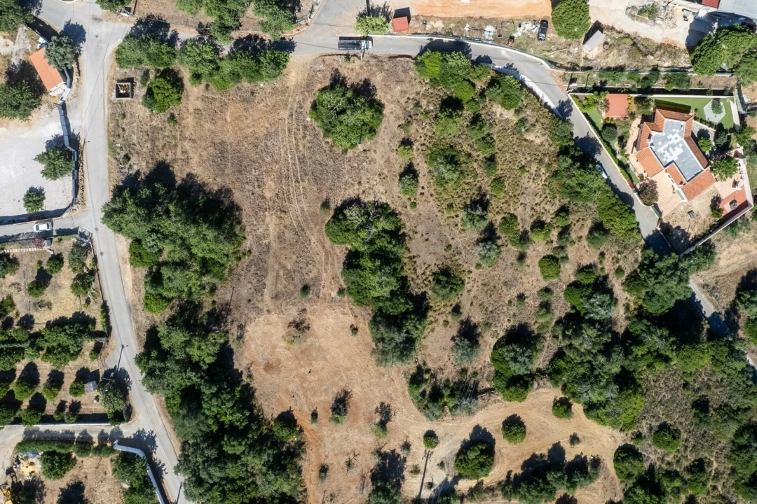 Terreno para Venda em Loule (São Clemente) Foto 5