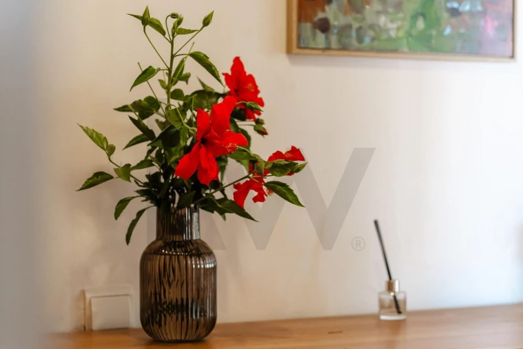 Moradia T5 para Venda em Monchique Foto 89
