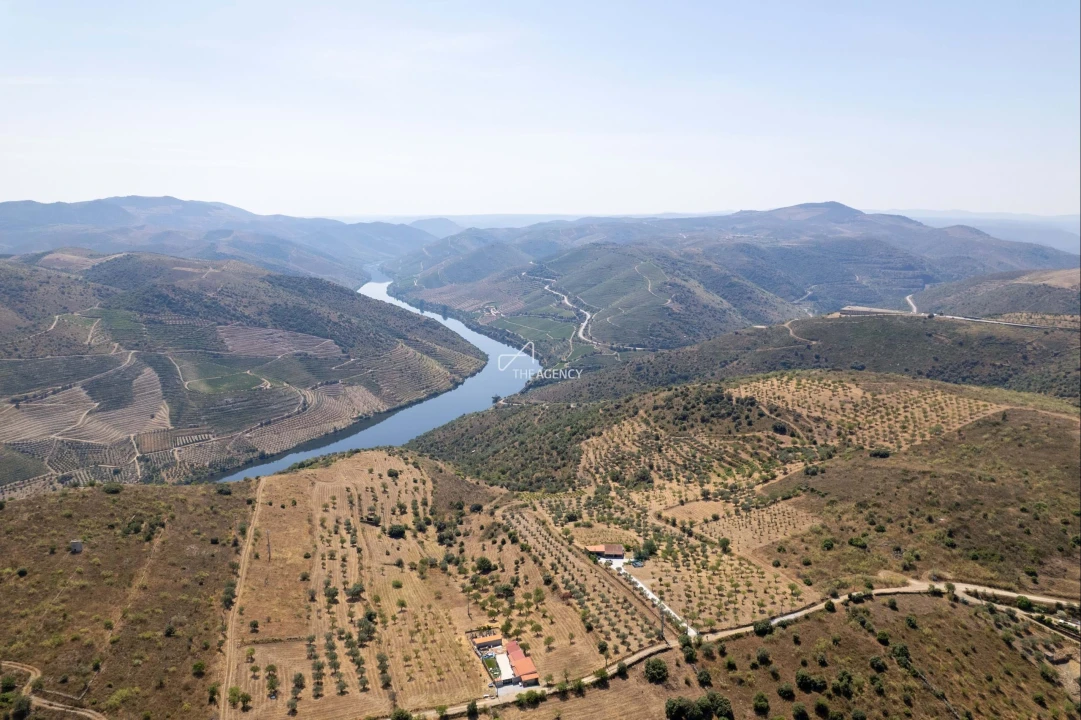 Terreno para Venda em Vila Nova de Foz Côa Foto 25