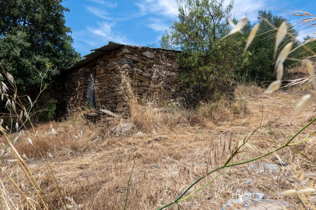 Terreno para Venda em Vila Nova de Foz Côa Foto 64
