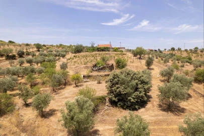 Terreno para Venda em Vila Nova de Foz Côa
