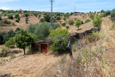 Terreno para Venda em Vila Nova de Foz Côa
